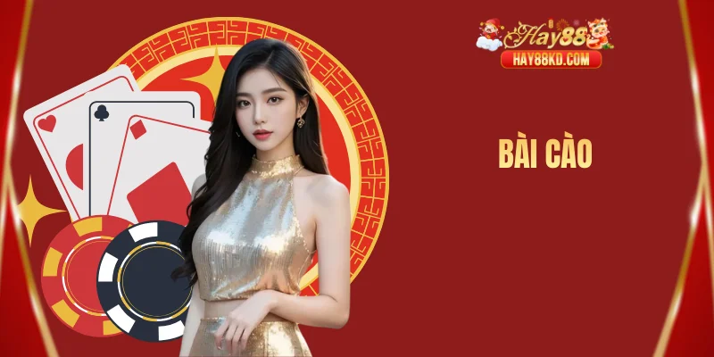 Bài cào